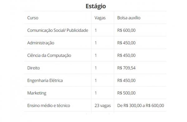 Estágio(Imagem:CIEE-Piauí)