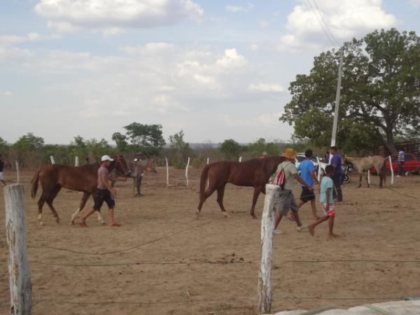 Realizada tradicional Corrida de Cavalos em Arraial-PI
