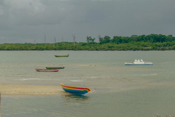 Encanto dos Guarás atrai visitantes com revoada de aves e integração nas praias do litoral do Piauí
