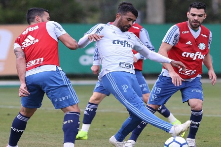 Palmeiras tenta confirmar título e volta por cima de Scolari no Brasil
