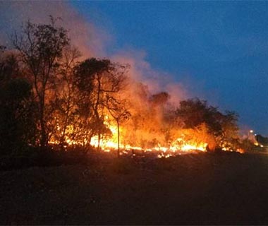 Incêndio dura três dias e prefeitos buscam ajuda em cidades vizinhas no Sul do PI
