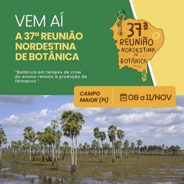 Uespi de Campo Maior abre inscrições para evento regional sobre Botânica