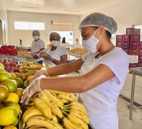 Banco de Alimentos doa 237.570 quilos de frutas e verduras para famílias carentes do Piauí
