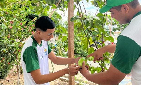 Estudantes da rede estadual transformam escola em espaço de sustentabilidade e inovação