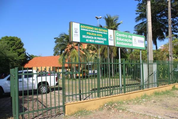 Polícia investiga áudio de suspeita de matar cães em Teresina