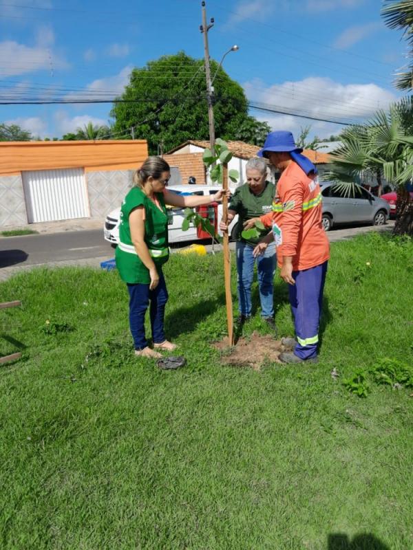 SEMAN inicia reposição de mudas de plantas em praças e rotatórias da cidade.(Imagem:Secom)