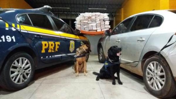 PRF prende motorista por tráfico de drogas em Floriano
