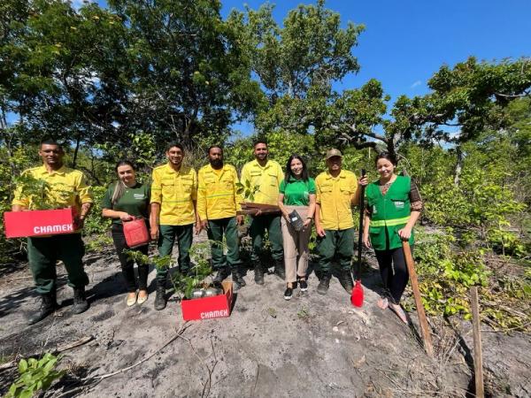 Áreas atingidas por queimadas recebem ação de recuperação na zona rural de Floriano