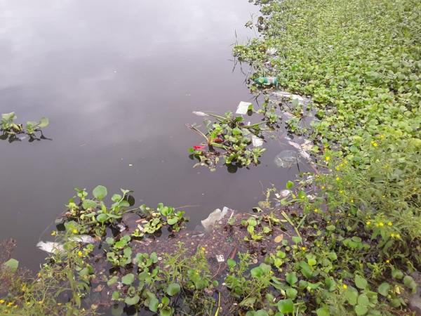 Peixes mortos aparecem em lagoa do Parque do Mocambinho e moradores reclamam de sujeira