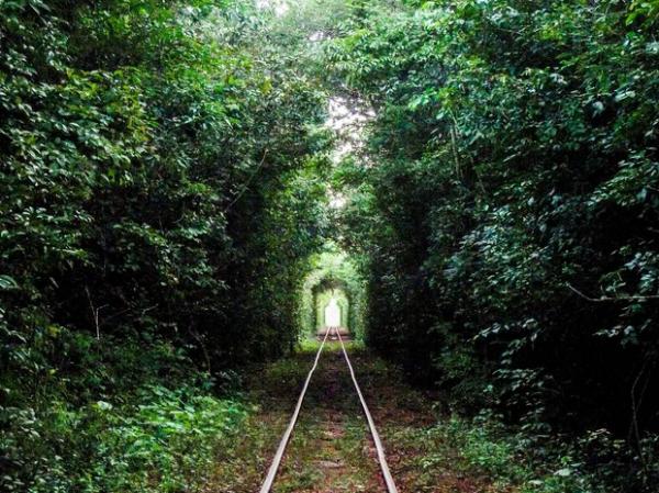 Litoral, cachoeiras, paisagens, rios, sertão... o Piauí em imagens