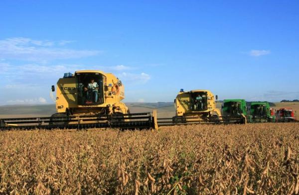 Produtores do cerrado piauiense esperam safra recorde de grãos