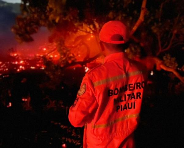 Bombeiros: combate a incêndios florestais é destaque em 2024