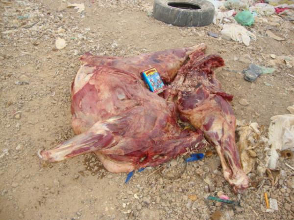 100kg de Carne Apreendida(Imagem:reda&ccedil;&atilde;o)