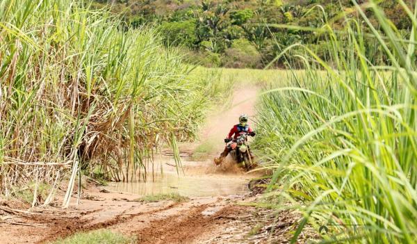 Piau&iacute; Rally Cup estreia novo formato de velocidade e agrada competidores em prova bastante t&eacute;cnica(Imagem:Azimute Fotos)