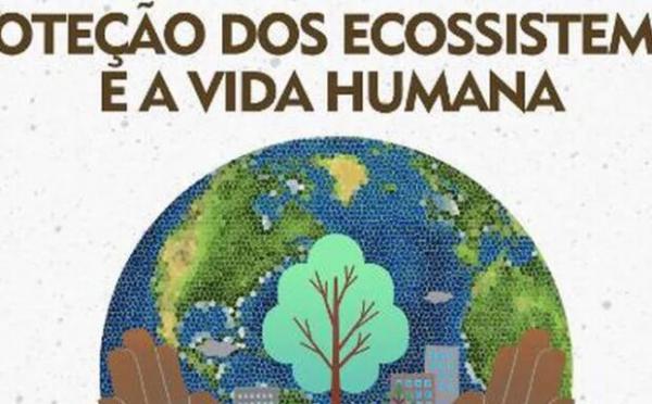 Escolas podem inscrever projetos de Educação Ambiental no VII Semeares