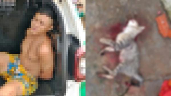 Homem é preso após ameaçar a própria esposa e matar gato a facadas no Piauí