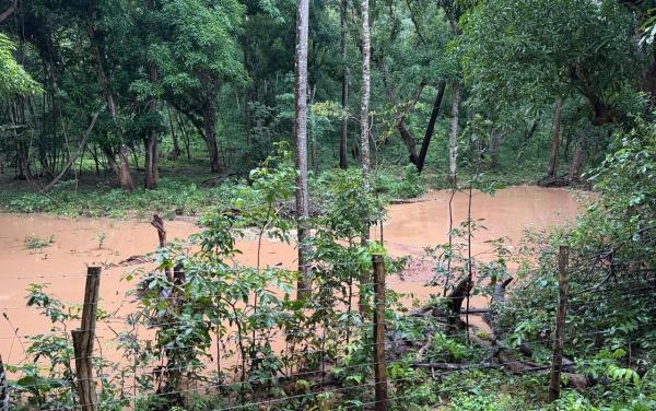 Semarh recupera cinco nascentes em Ribeiro Gonçalves e reforça segurança hídrica no cerrado