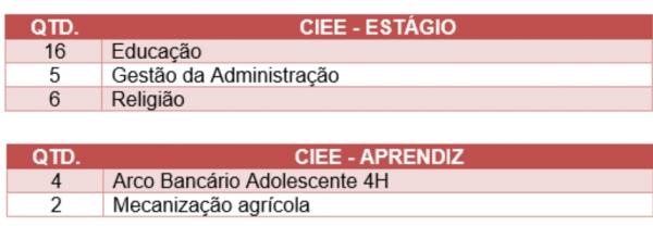 Para se candidatar a uma dessas vagas de est&aacute;gio ou Jovem Aprendiz do CIEE o estudante pode acessar o portal do CIEE.(Imagem:Divulga&ccedil;&atilde;o )