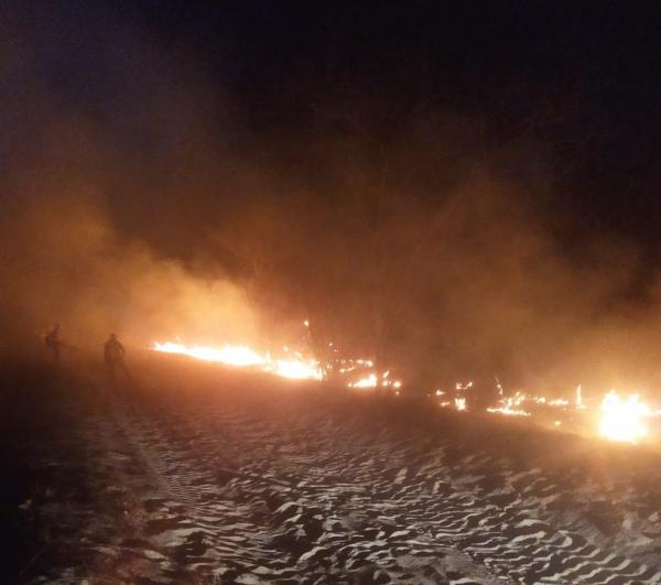 Secretaria de Meio Ambiente e ICMBio enviam reforços para combater incêndio nas serras entre Pi e Ce