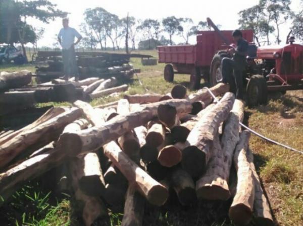 Ibama autua 90 empresas no Piauí por licenças ambientais fraudulentas