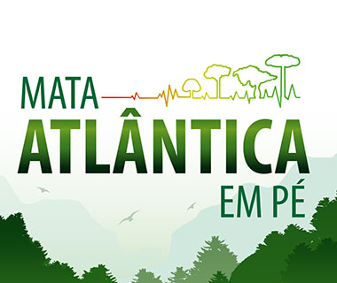 Piauí participa de operação para identificar desmatamentos na Mata Atlântica