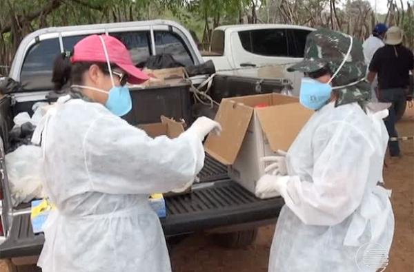 Secretaria de Saúde investiga 2º caso de Febre do Nilo no Piauí