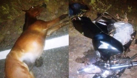 Mulher morre ao colidir com cavalo na PI 116 em Luís Correia