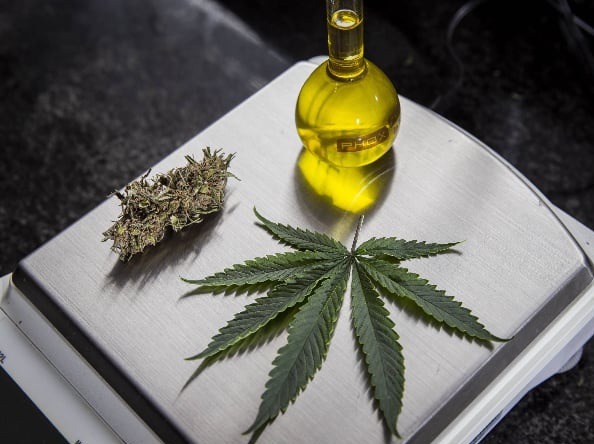 Alepi aprova política do uso de medicamentos à base de canabidiol no Piauí