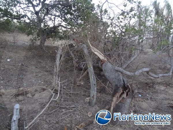 Homem perde o controle de carro e bate em três cercas na zona rural de Floriano.(Imagem:FlorianoNews)