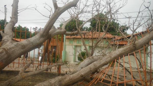 Forte ventania arrancou &aacute;rvores e placas em Floriano.(Imagem:FlorianoNews)