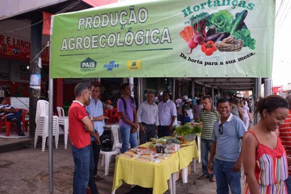 Feira Agroecol&oacute;gica de Floriano.(Imagem:Waldemir Miranda)