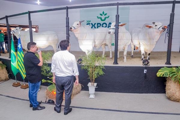 Lan&ccedil;amento da 73&ordf; edi&ccedil;&atilde;o da Exposi&ccedil;&atilde;o Agropecu&aacute;ria do Piau&iacute; (Expoapi)(Imagem:Governo do Estado)