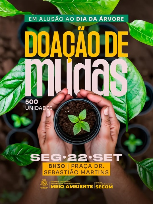 Prefeitura de Floriano realizará doação de mudas em alusão ao Dia da Árvore