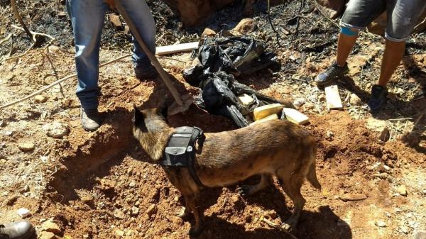 Cadela encontrou droga enterrada ao lado de casa em Picos, no Piau&iacute;.(Imagem:Divulga&ccedil;&atilde;o/PM-PI)