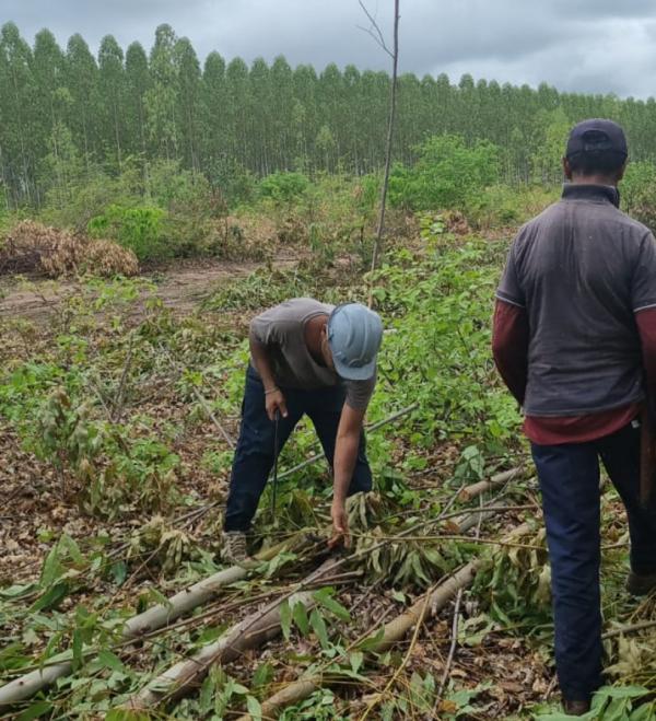 MPT resgata trabalhadores em situação análoga à escravidão em fazenda de eucalipto no Piauí