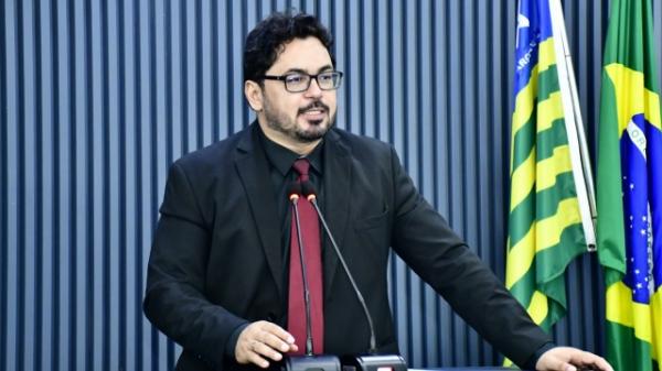 Aprovação de duas leis deve reforçar a rede de proteção à causa animal em Floriano