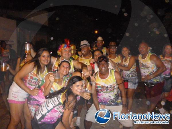 Bloco Galefolia anima o carnaval no bairro S&atilde;o Crist&oacute;v&atilde;o(Imagem:FlorianoNews)