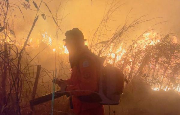 Piauí abre seleção para plano estadual de combate a incêndios florestais