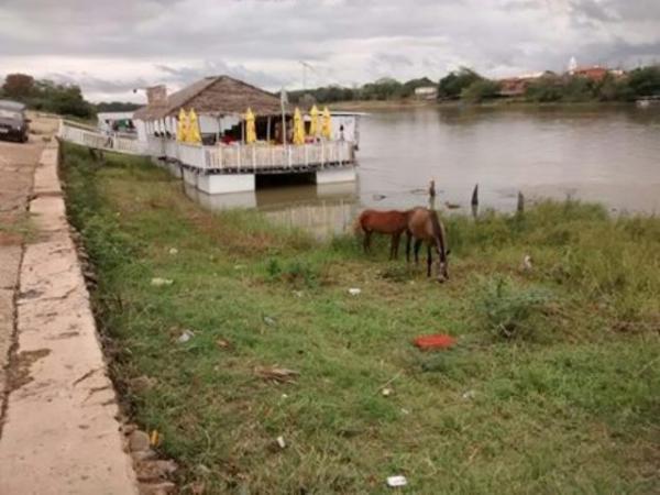 Cais de Floriano passa por limpeza para revitalização do rio Parnaíba