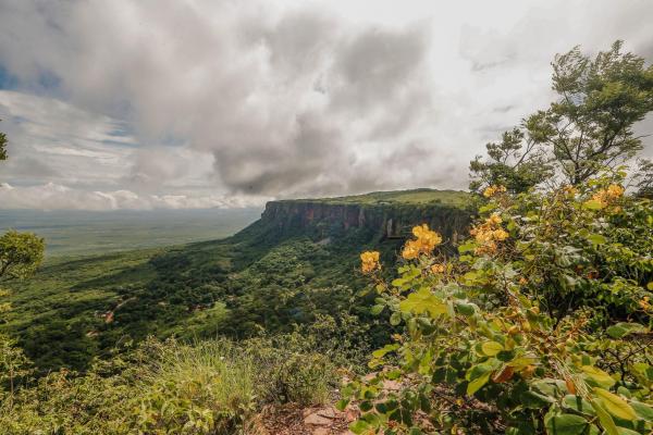 Morro do Gritador ? Pedro II(Imagem: Thiago Amaral)