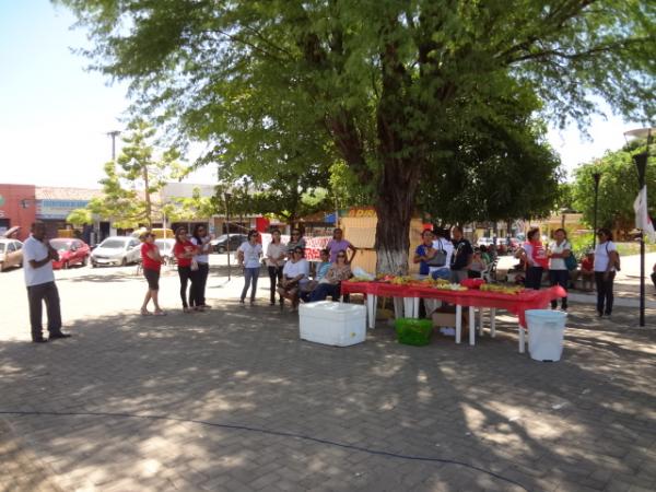 Servidores p&uacute;blicos federais realizaram paralisa&ccedil;&atilde;o em Floriano.(Imagem:FlorianoNews)