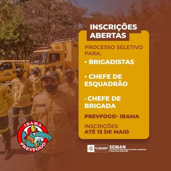 Prevfogo-IBAMA abre inscrições de processo seletivo para brigadistas em Floriano