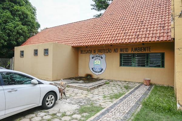 Polícia resgata cão após denúncia de maus-tratos e fará operação a cada 15 dias