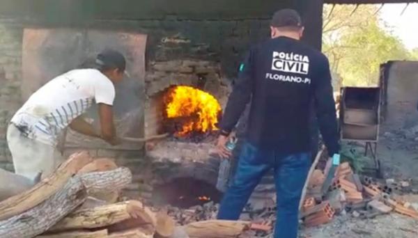 Polícia incinera droga avaliada em quase 500 mil reais em Floriano