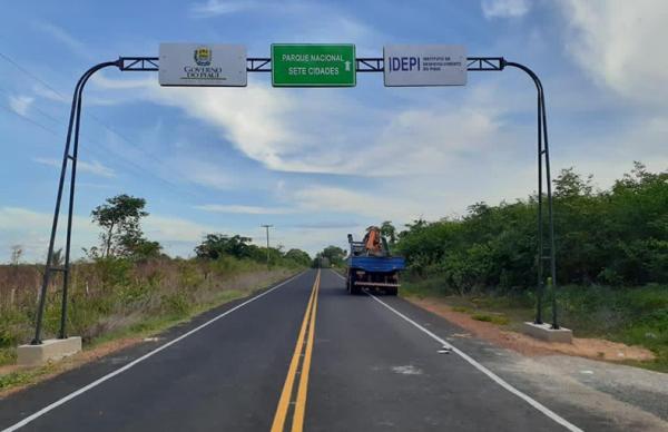 Nova lei obriga motoristas piauienses a prestarem socorro a animais atropelados