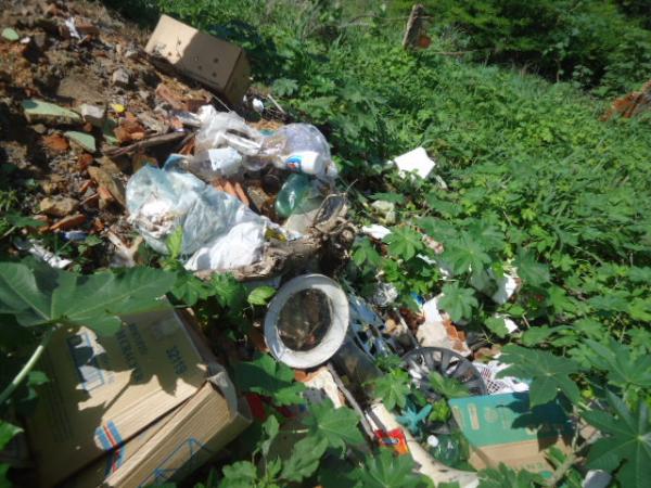 Secretaria de Sa&uacute;de realiza mutir&atilde;o contra a dengue em Floriano.(Imagem:FlorianoNews)