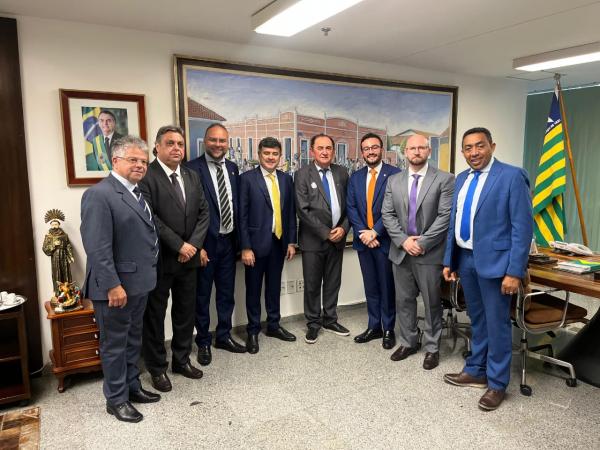 Poderes legislativo e Executivo de Floriano se unem em busca de emendas em Brasília