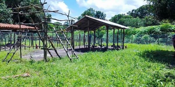 Programa Fomento Rural gera renda para mais de duas mil fam&iacute;lias vulner&aacute;veis e impulsiona produtividade no Piau&iacute;(Imagem:Tavynho Neto)