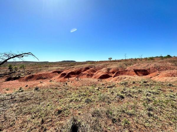 Piau&iacute; desenvolve pesquisa inovadora usando hidrogel para recuperar solos e combater desertifica&ccedil;&atilde;o no estado(Imagem:Ascom Fapepi)