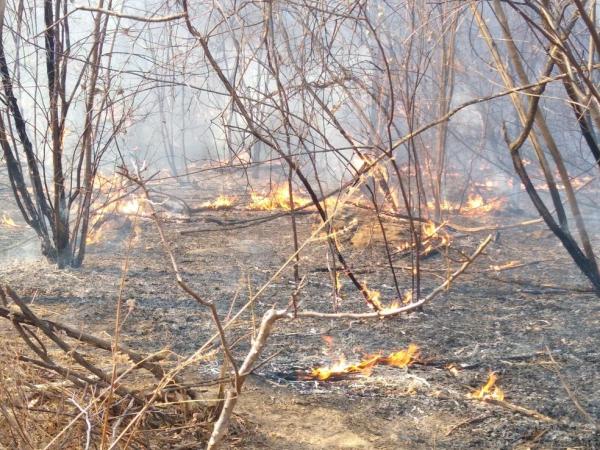 Incêndio de grandes proporções dura 22 dias e ameaça casas no Norte do Piauí